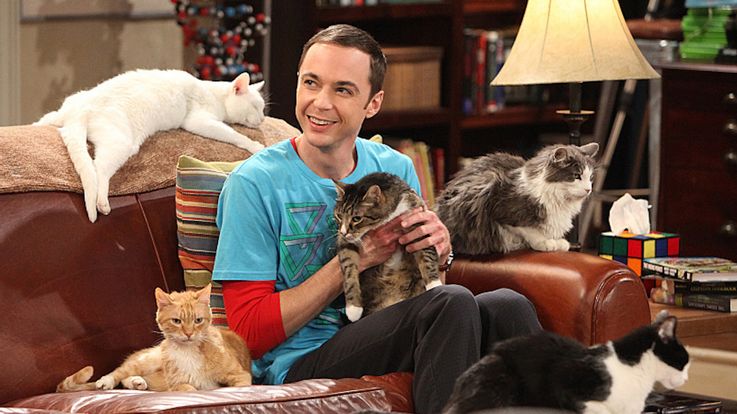 jim and his cats