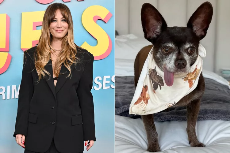 Kaley Cuoco Adopts Adorable New Dog- 'I Guess He's Staying'